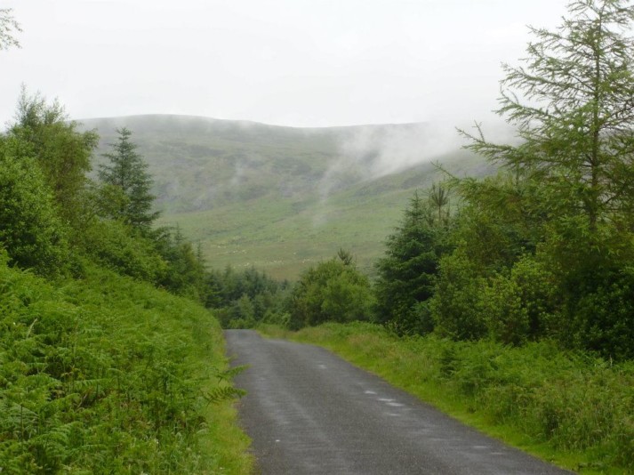 Narrow, foggy road in Ireland